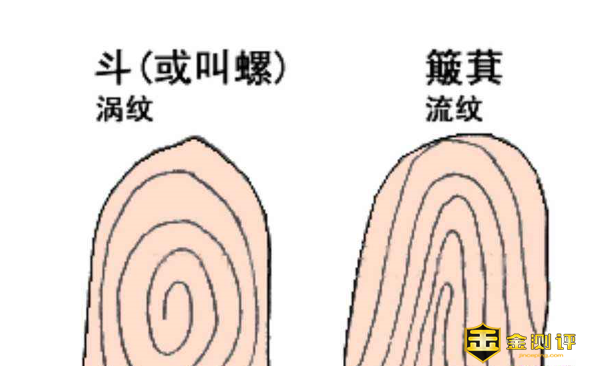 手指上的斗和簸箕代表什么